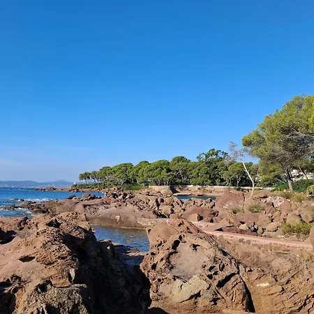 Les 3 Sources D'aiguebonne, Vue Et Estérel, Plages à Pied Villa