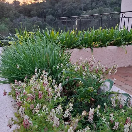 Les 3 Sources D'aiguebonne, Vue Et Estérel, Plages à Pied Villa *